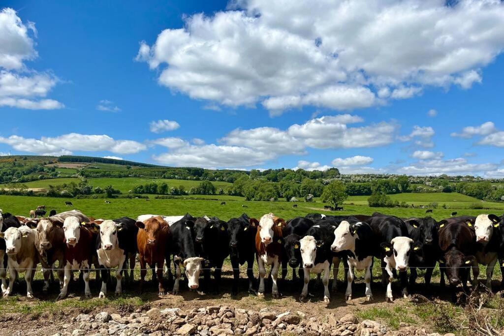 Tom Rocky'S Farmyard Villa Templemore Esterno foto