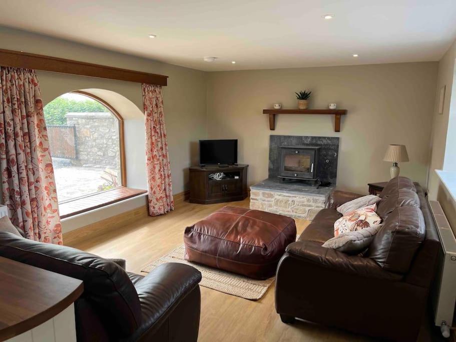 Tom Rocky'S Farmyard Villa Templemore Esterno foto